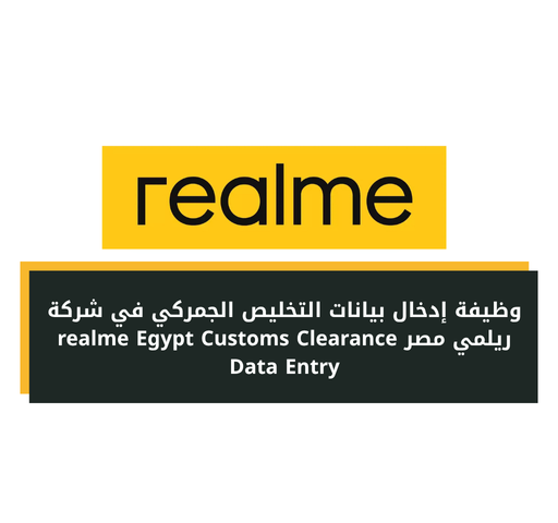 وظيفة إدخال بيانات التخليص الجمركي في شركة ريلمي مصر realme Egypt Customs Clearance Data Entry